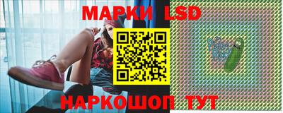 Альфа ПВП Гатчина