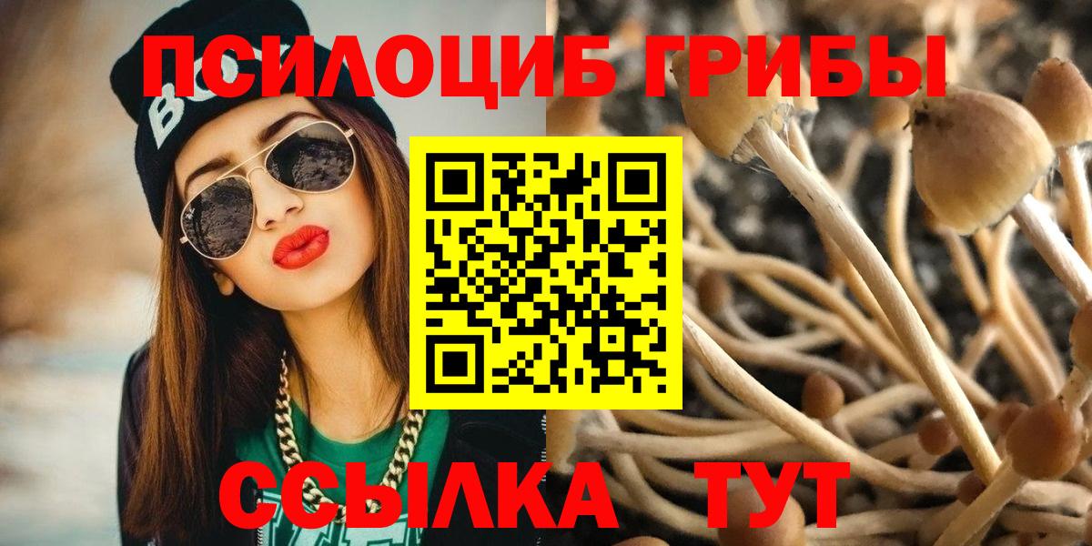 Галлюциногенные грибы Psilocybe  Псилоцибиновые грибы ЛСД  Мичуринск  Вход с VPN 
