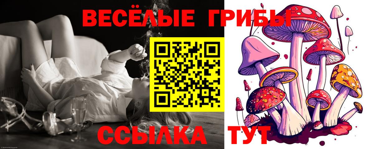 Псилоцибиновые грибы прущие грибы Мичуринск