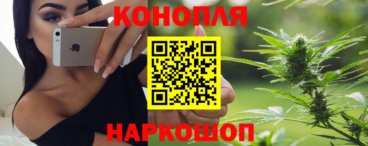Бошки Шишки White Widow Мичуринск